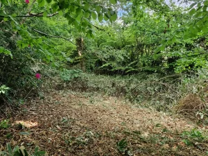Garden Refurbishment & Retaining Wall in Wimborne, Dorset | DMA Property Solutions
